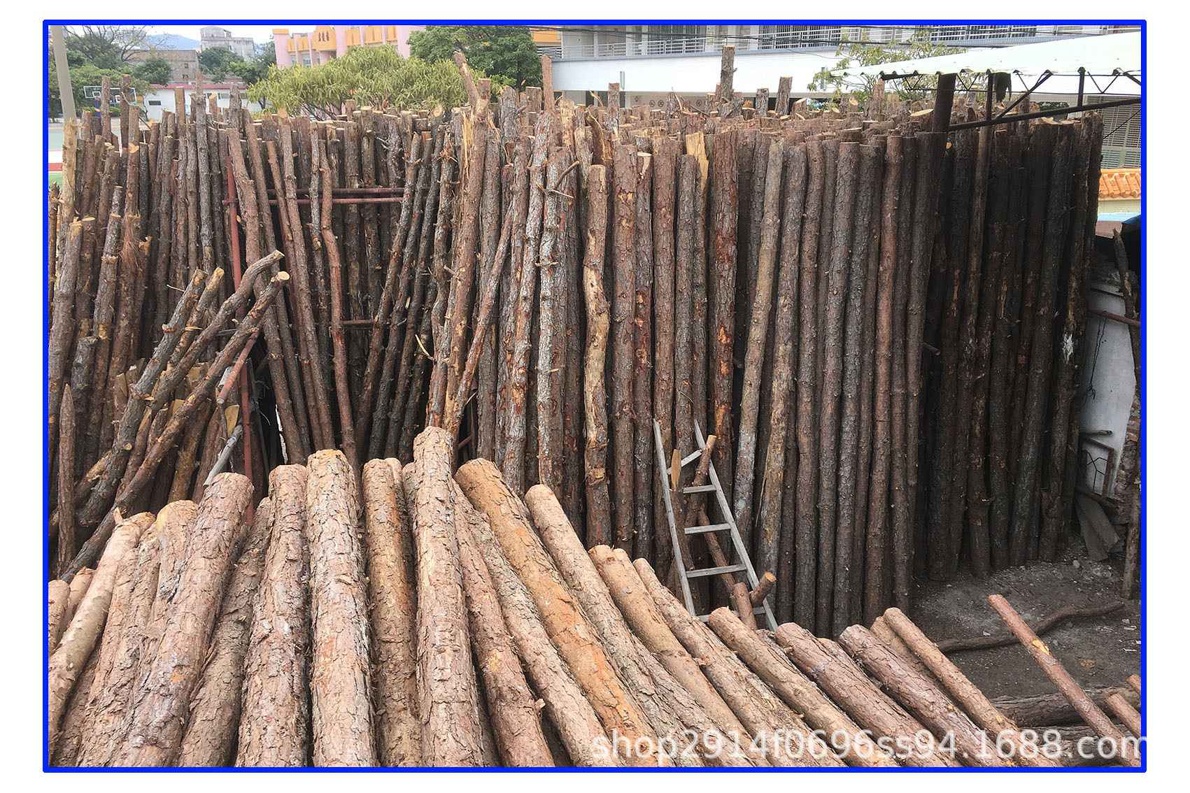 松木桩河道工程打桩木松木杉木原木带皮圆木松桩工地公园护栏用