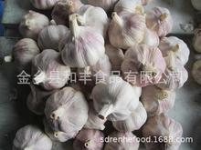 2022年新蒜出口巴西, GARLIC EXPORTING TO BRAZIL