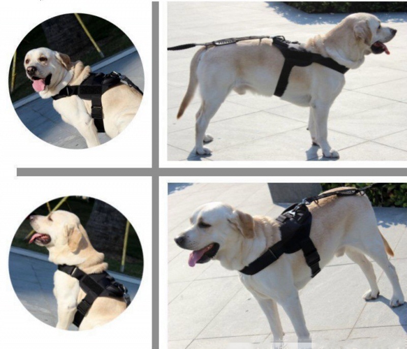 多功能狗衣作战马甲背心 战术巡逻警犬狗衣 户外运动训练狗狗服装