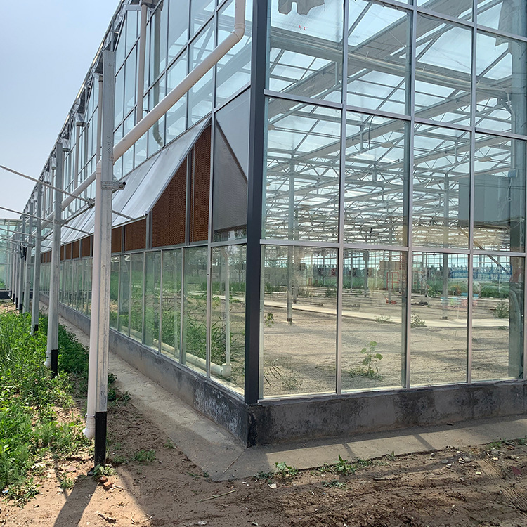 外遮阳连栋玻璃大棚 智能温室大棚 温室大棚 阳光房 花卉蔬菜