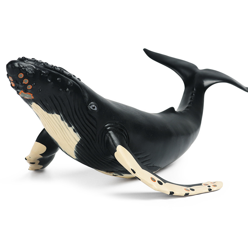 儿童认知玩具仿真海洋动物模型海底生物大号软胶座头鲸摆件