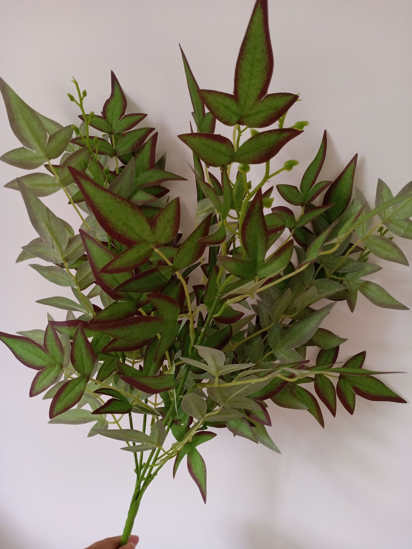 仿真南天竹仿真吊钟叶婚庆装饰金钱叶家居花艺插花配件玄关绿植