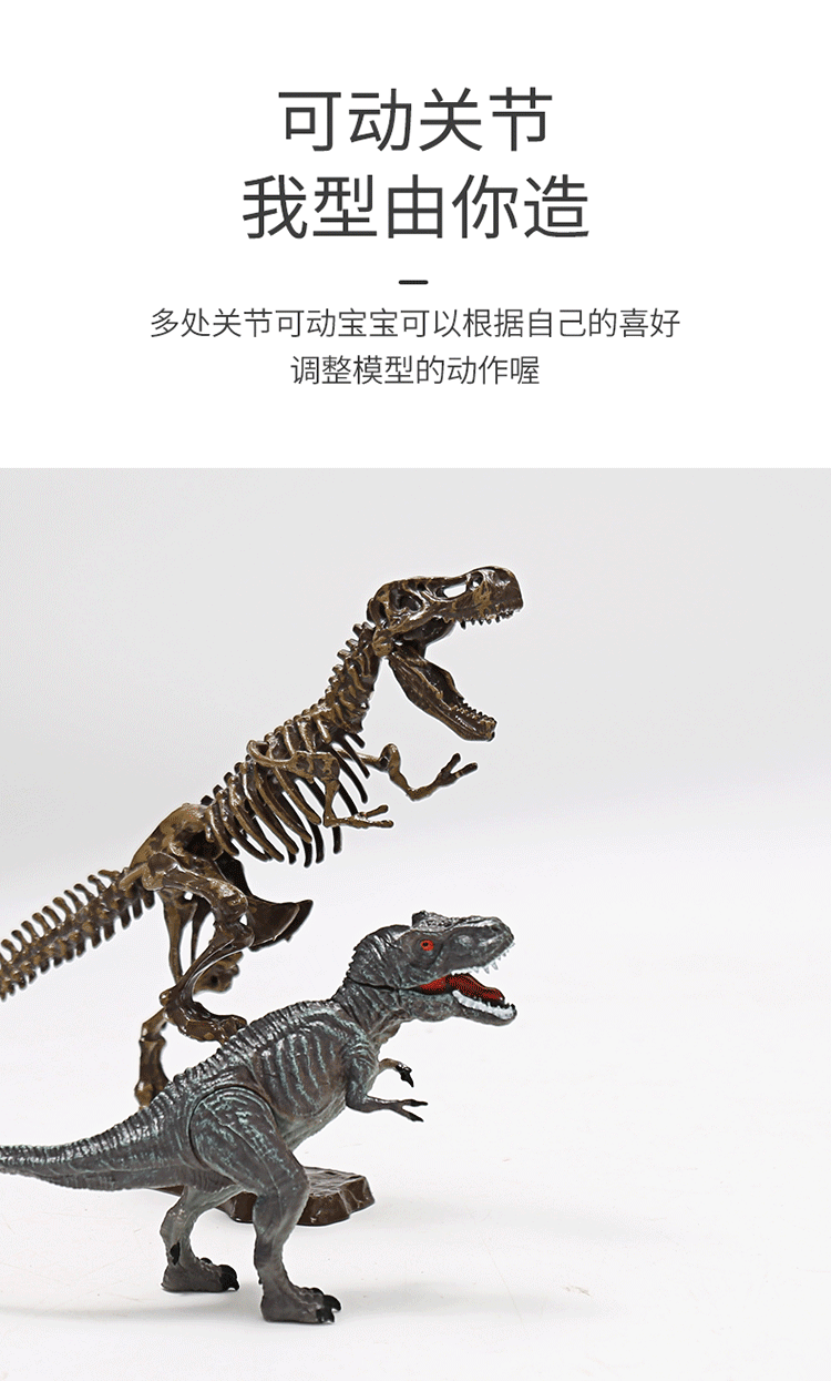 儿童仿真恐龙考古化石玩具益智挖掘动物软骨架模型拼接男孩霸王龙