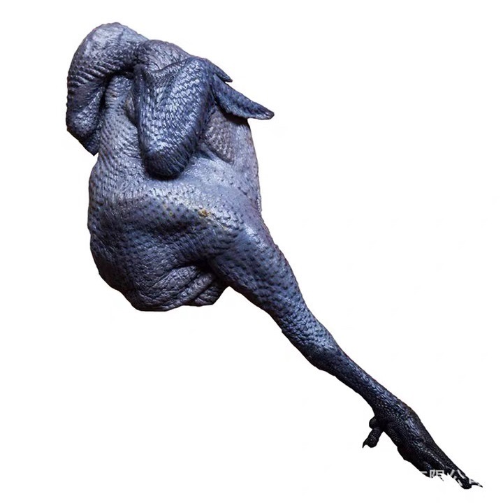 冷冻乌鸡 竹丝鸡 20斤/箱9只 广州批发炖汤食材黑乌鸡白凤竹丝鸡