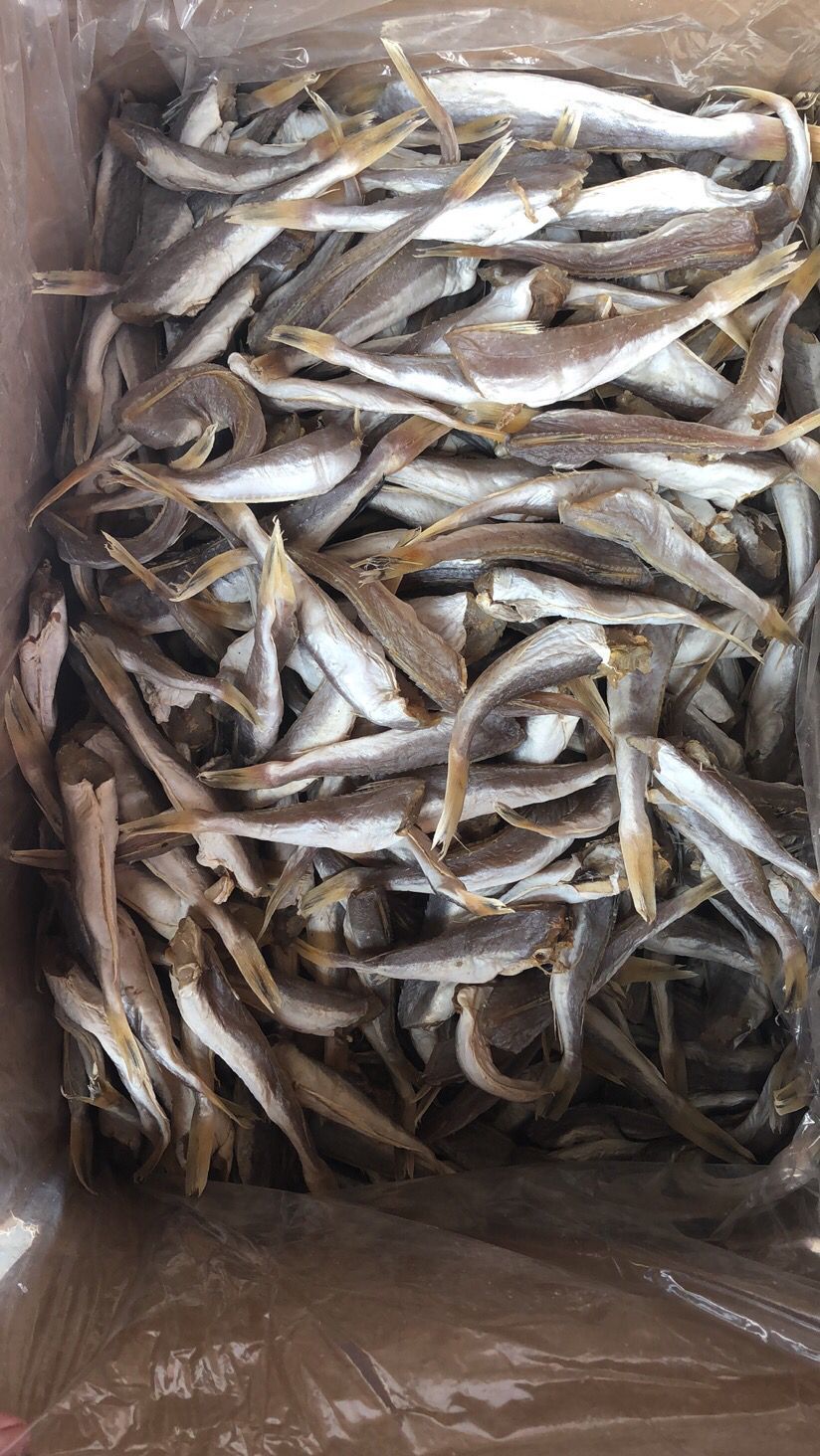 红头鱼角肉鱼干一件25斤
