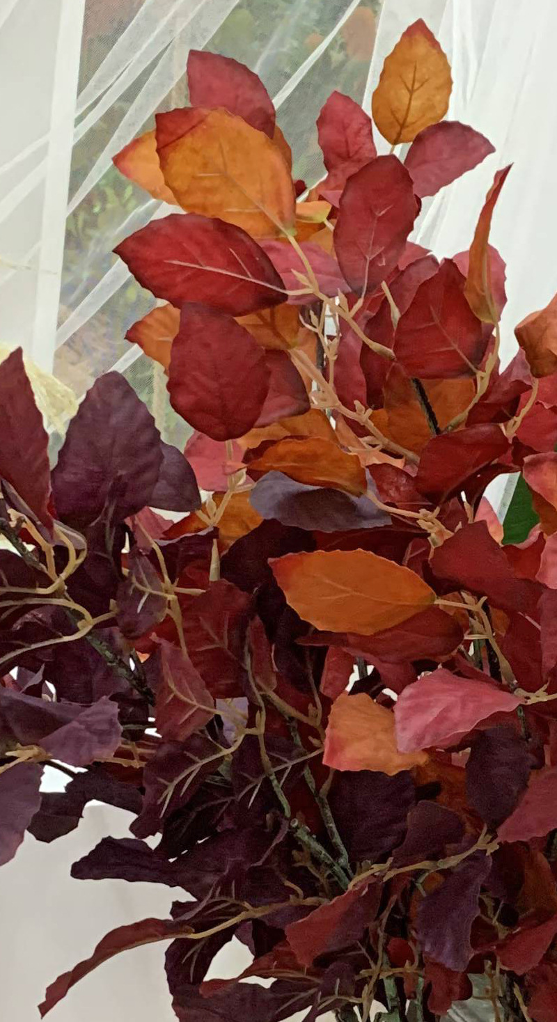 秋色莫尤加利仿真花暗红色叶子绿植物装饰苹果叶红色婚庆礼堂布景