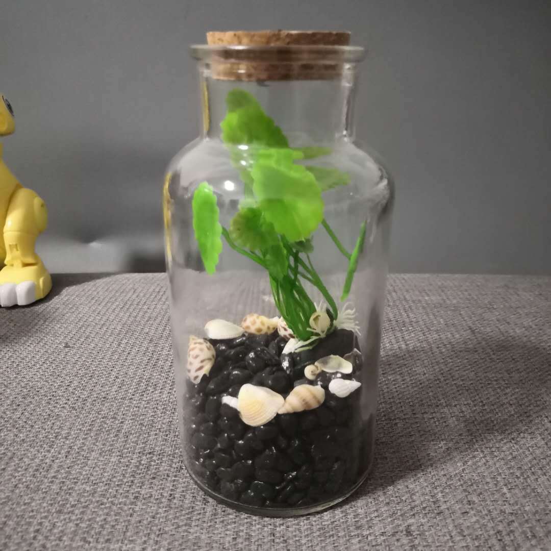批发泰国斗鱼生态瓶桌面迷你微景观空瓶厂家直销斗鱼活体生态瓶