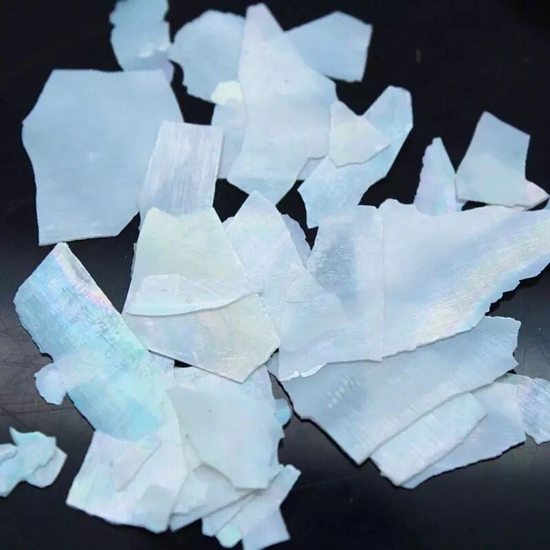 日系12色贝壳片 美甲饰品贝壳碎片 光疗指甲装饰 可diy拼花