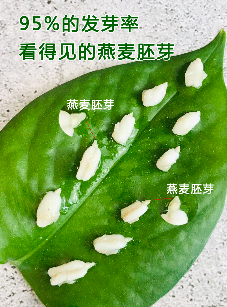 易素25kg袋裸燕麦胚芽米装1级燕麦米脱壳破壁去芒刺小额批发