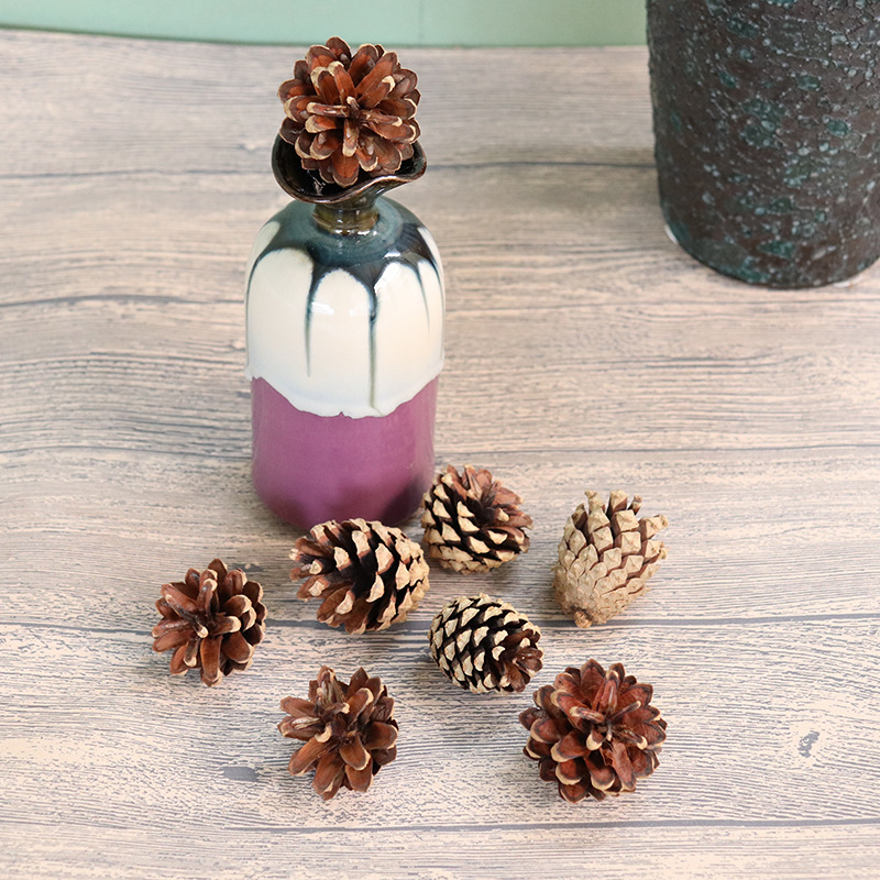 圣诞装饰松果 diy工艺原料 拍摄装饰品干花摆件 自然松果约4-5cm