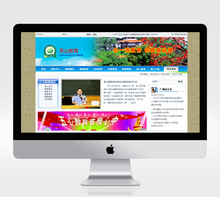 东莞教育培训机构品牌网站建设制作H5营销型网站搭建运营APP开发