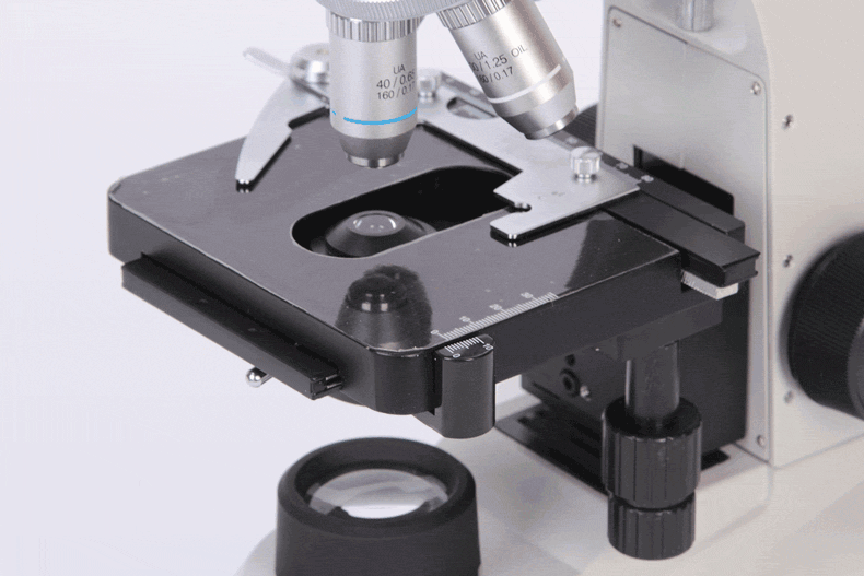 凤凰(phenix)生物显微镜ph50-1b43l-pl/a光学放大1600倍专业高倍