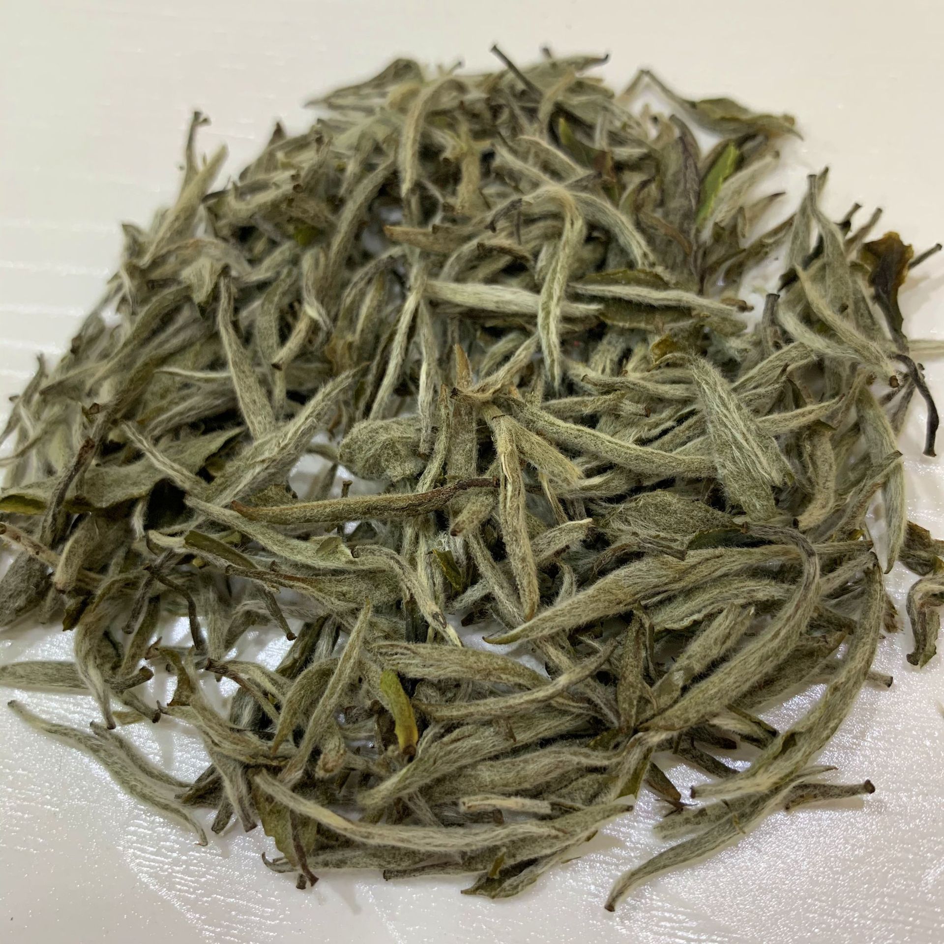 福建白毫银针春芽2019 福鼎新白茶 日晒散装白茶批发 味清甜