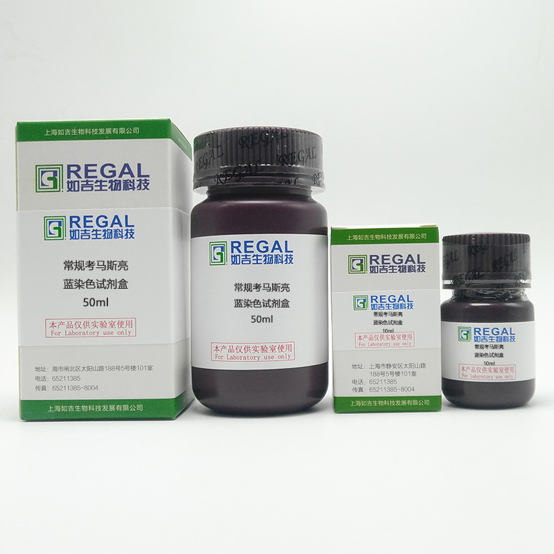 常规考马斯亮蓝染色试剂盒 10ml 50ml 蛋白检测 实验试剂