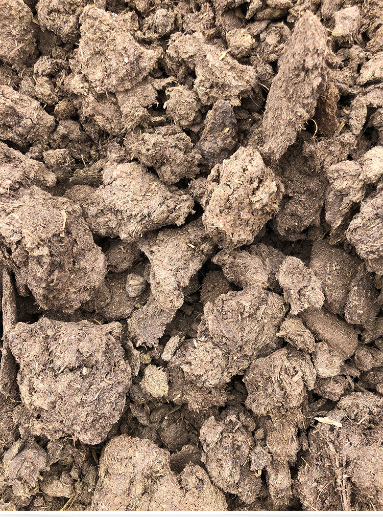 干牛粪大块 蘑菇杏鲍菇用牛粪肥料 菌类植物养护肥料 晒干牛粪