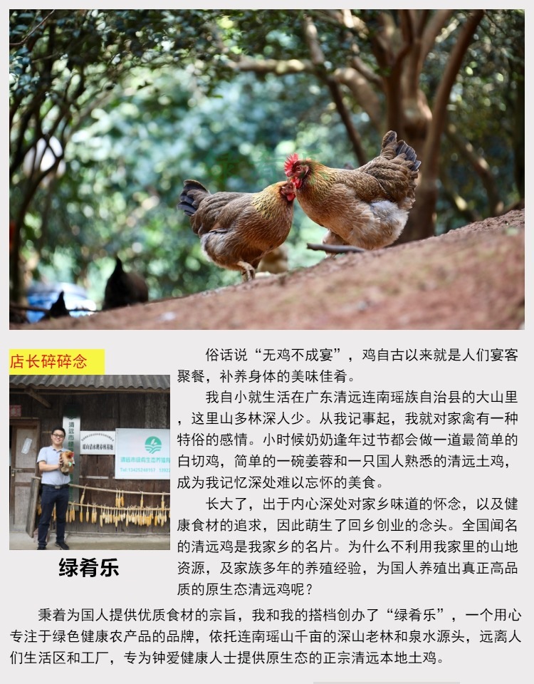 【山鸡凰】清远鸡广东清远农家散养鸡170天土鸡鲜鸡肉白切走地鸡