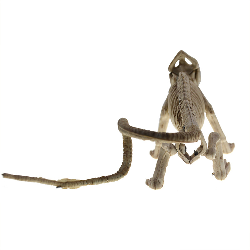 万圣恐怖道具蜥蜴骨架鬼节装扮动物骨架仿真整人玩具装饰动物道具