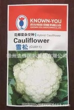 推荐台湾农友种苗公司系列优质青梗松花种子----雪松，香雪等