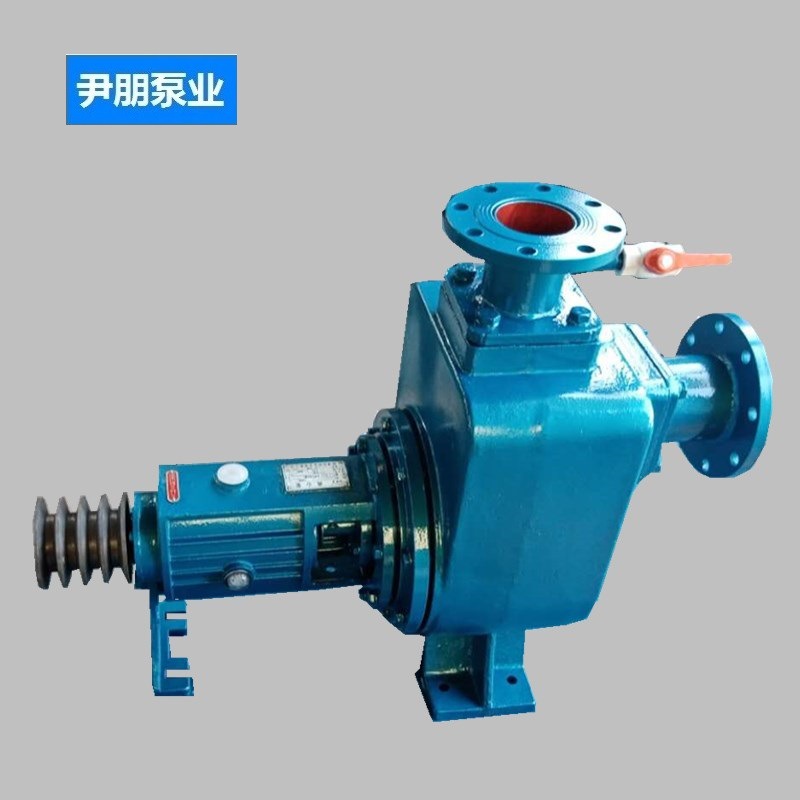 自吸泵 皮带轮传动抽水泵 化工流程泵 排污泵 自吸柴油机小型泵组