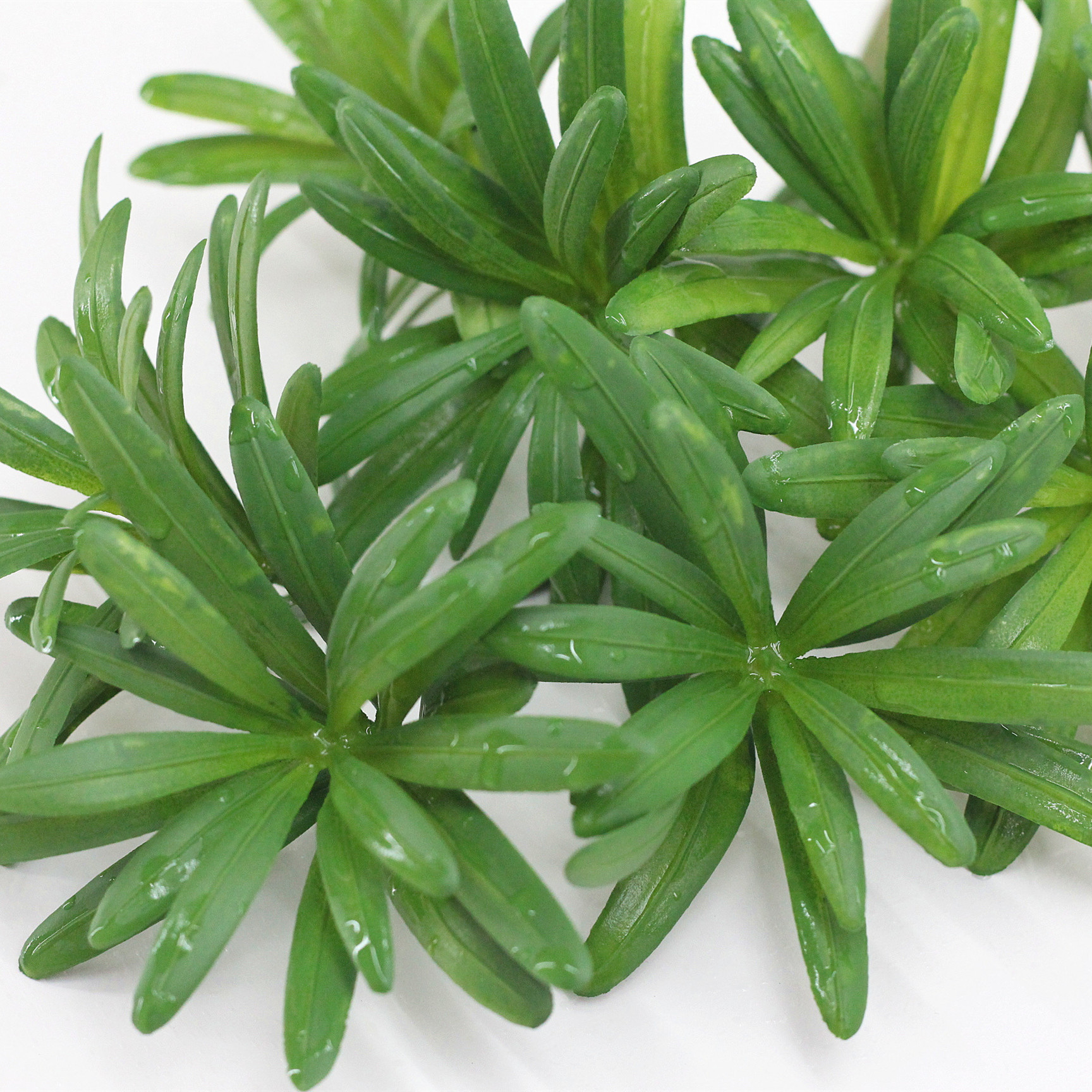 新款 仿真叶单支罗汉松喷色 植物绿植造景配件 批发