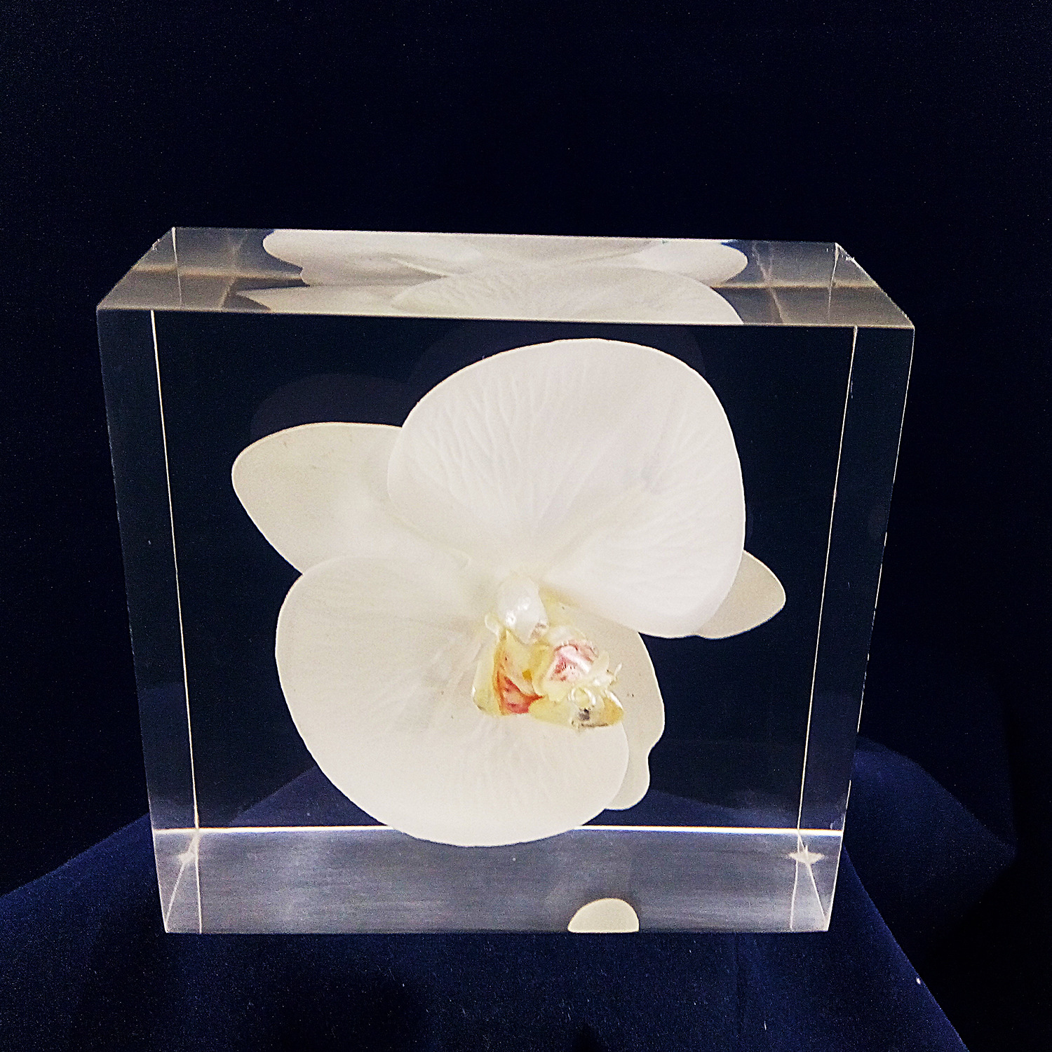 树脂印章有机印章