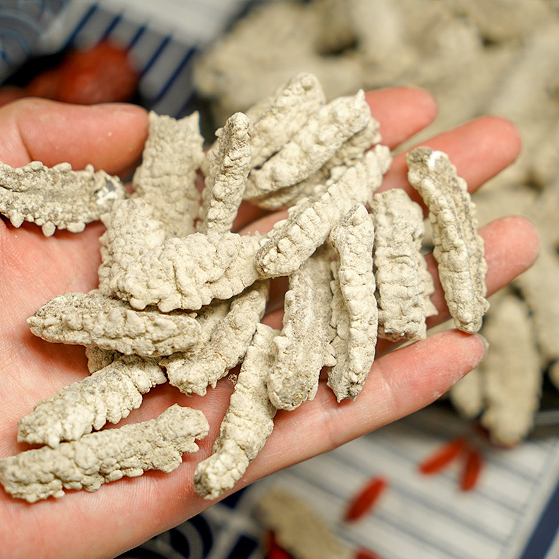 白刺参60-180头淡干海参一德路海味干货滋补品批发一件代发