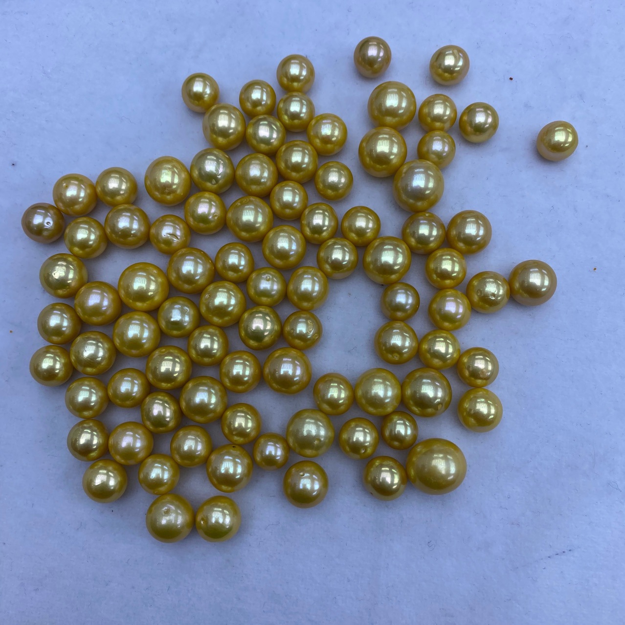 9-12mm 淡水珍珠染色金珠 媲美南洋金 裸珠散珠