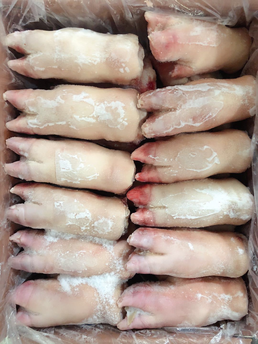 厂家直供鲜冻生猪脚带筋 冷冻猪脚整箱 冷冻猪蹄 猪手猪脚 20斤