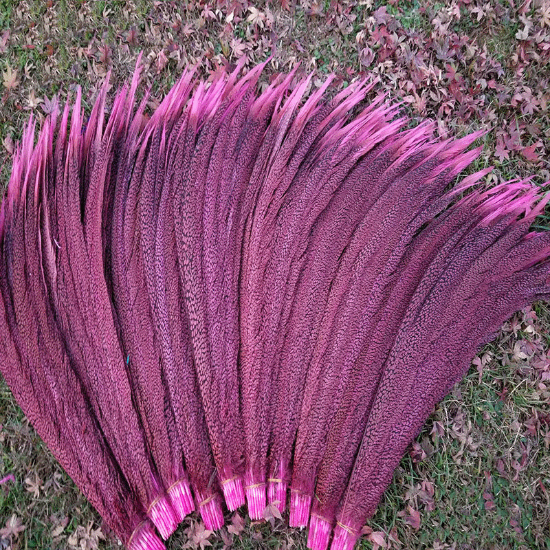 【厂家直销】清阳羽毛 环保染色印地安头戴表演装饰65-70cm锦鸡尾