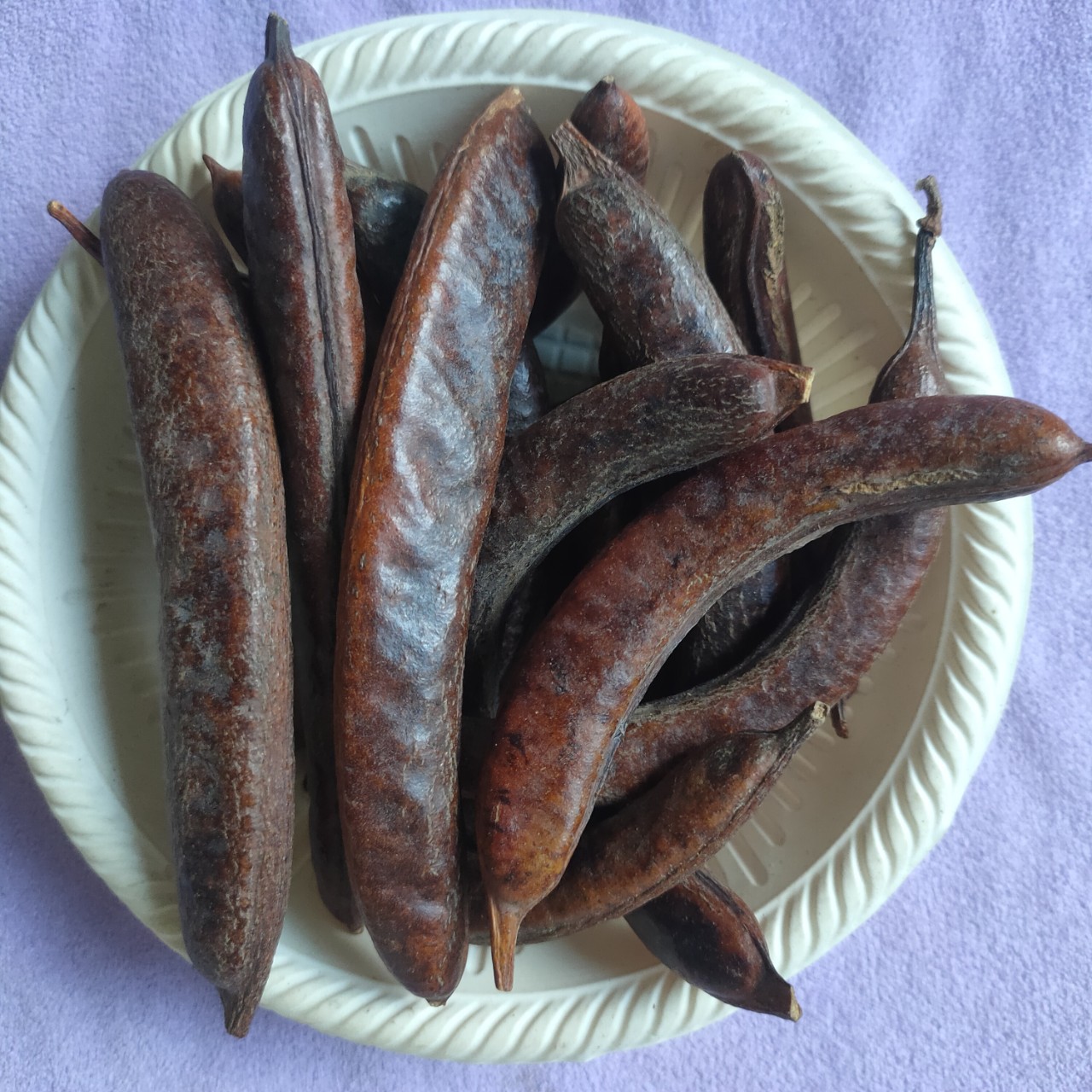 散装批发供应中药材皂角猪牙皂角牙皂承接订单