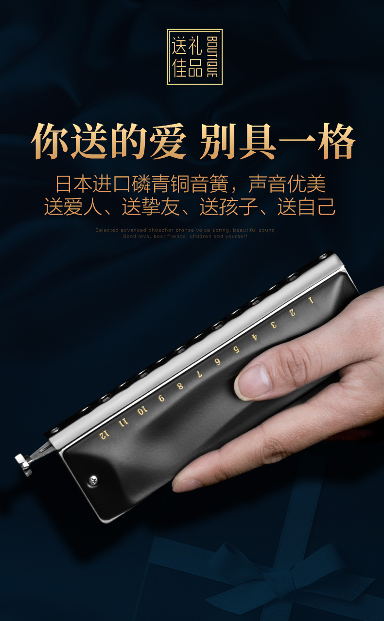 jdr嘉德瑞12孔初学者成人学生入门专业演奏半音阶口琴