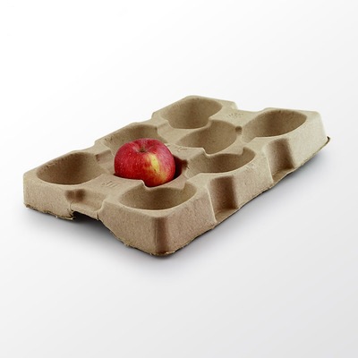 厂家直销 精品水果包装盒 纸浆模塑防震环保包装