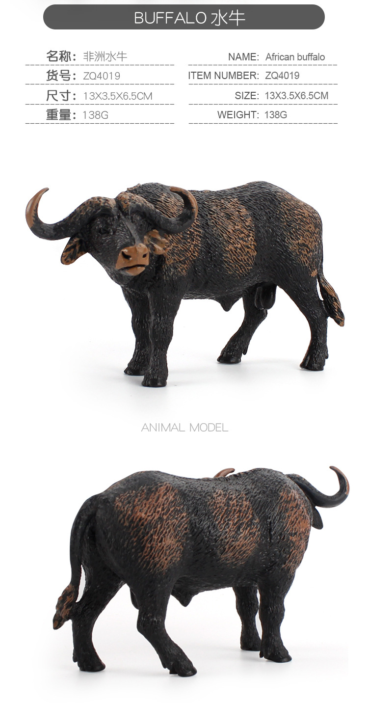 儿童益智科教静态非洲水牛模型套装跨境仿真野生动物摆件手办玩具