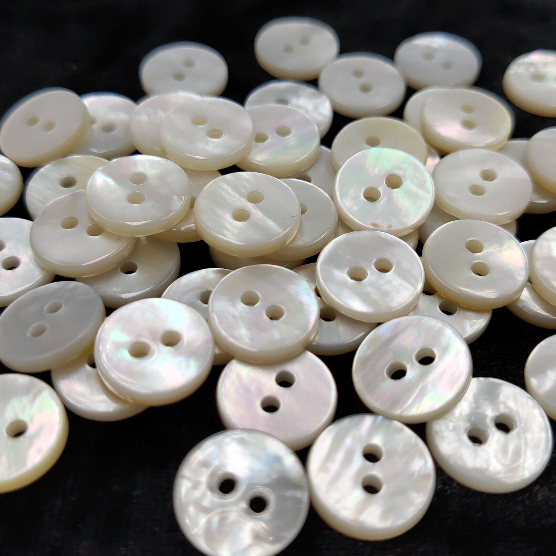 贝壳纽扣白蝶圆边两孔多型号多颜色衬衫西装扣子