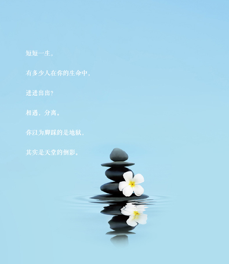 《孤独禅》禅机在于自悟思悟需要孤独人生哲学心灵感悟散文美文书