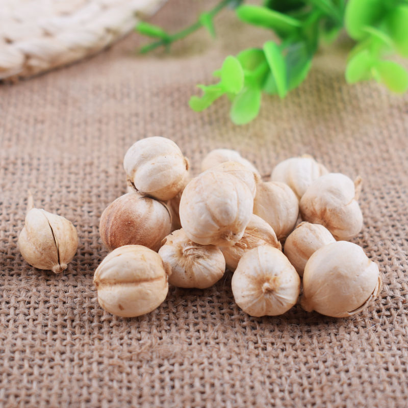 白豆蔻原货白蔻 水洗肉豆蔻 火锅底料 香料大全 跑江湖卤料包批发