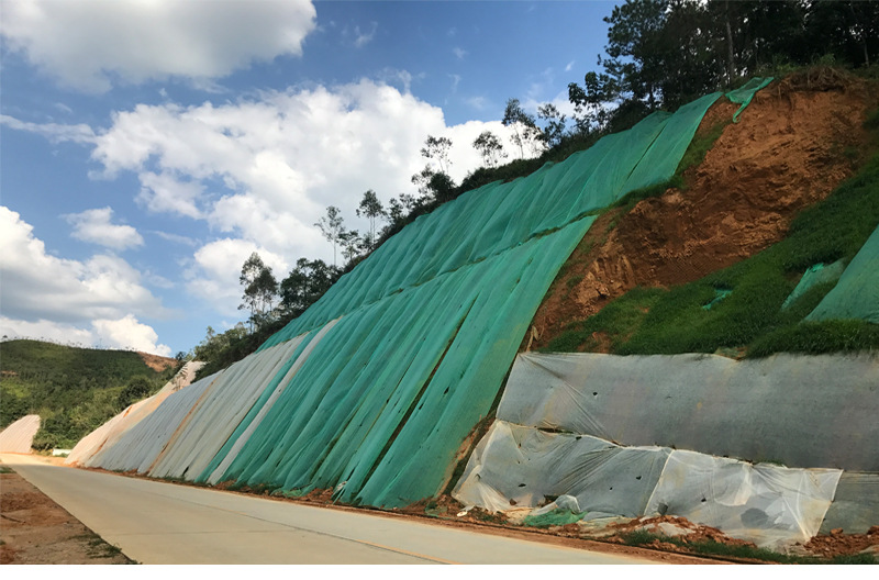 现货草坪农用边坡绿化盖土花海育苗防尘遮阳pp防草布无纺布绿化