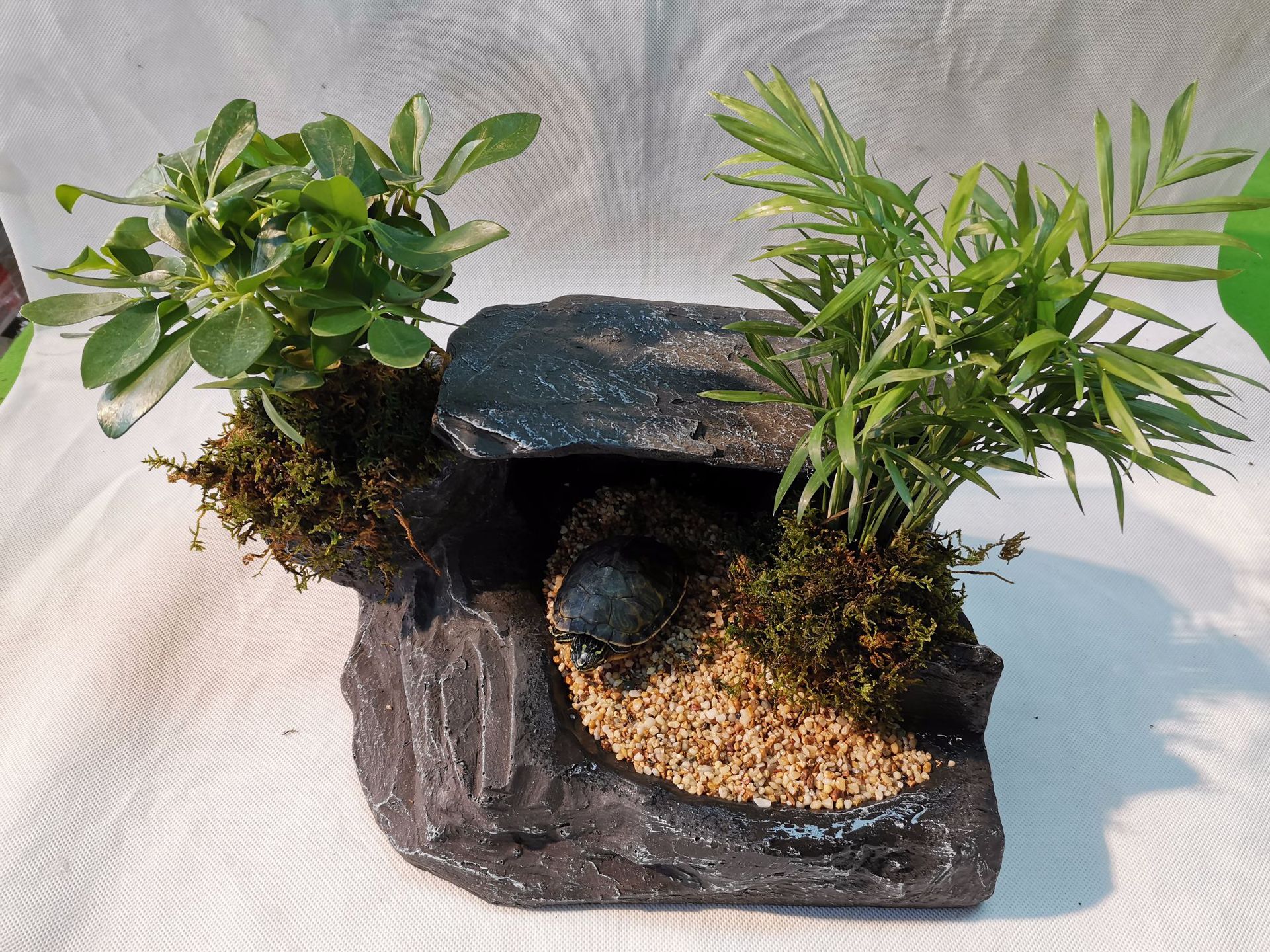 水龟缸造景装饰假山晒台洞穴可种植物生态水龟晒背岛娱乐台爬晒台