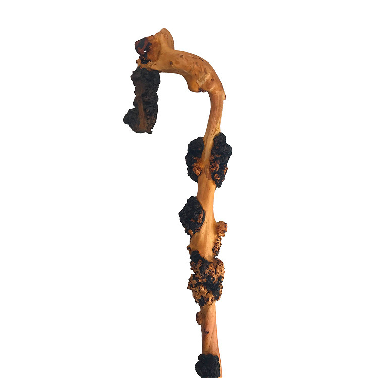 精品黑果木拐杖 中老年手杖 天然材料木制树瘤工艺品摆件