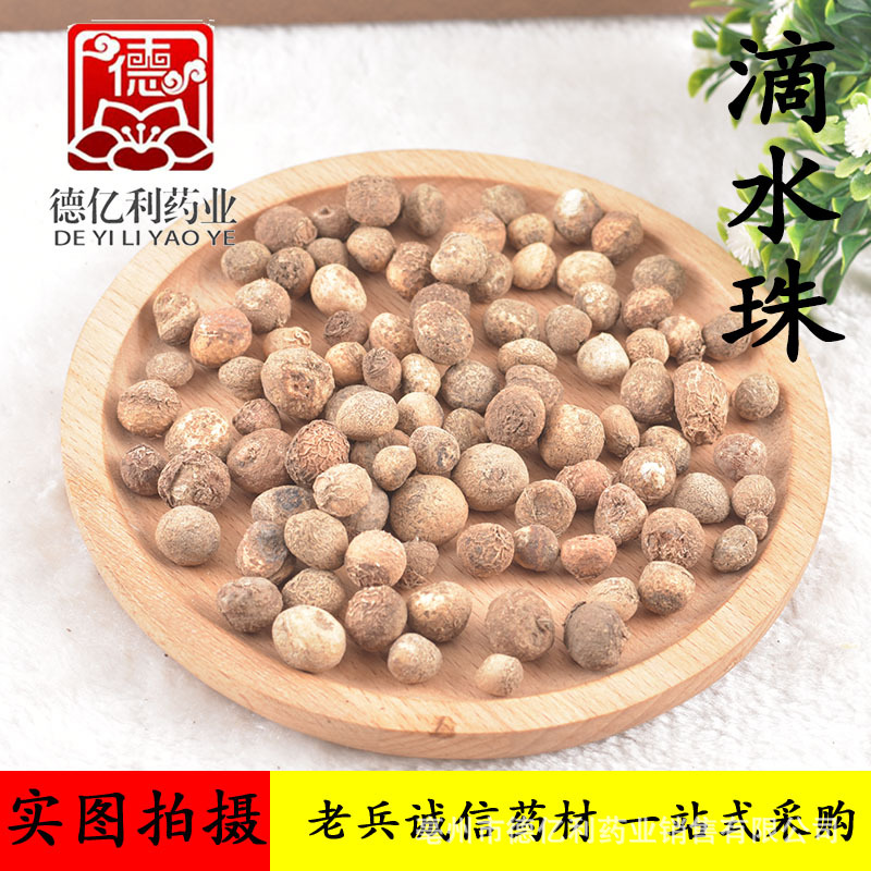 中药材批发 新货滴水珠 滴水珠 一粒珠 石半夏 独龙珠 蛇珠