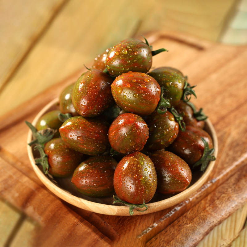 小柿子现货迷彩小番茄现摘现发巧克力小番茄生吃圣女果迷彩千禧果