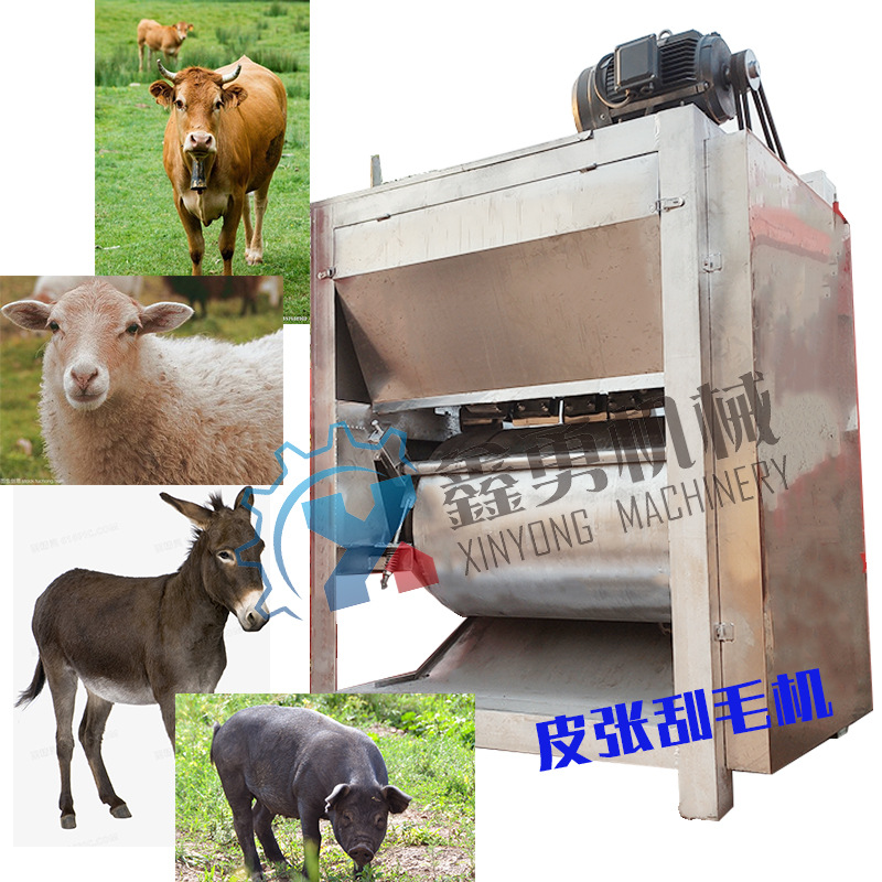 羊皮加工请选择鑫勇牌羊皮刮毛机 去毛干净 不伤皮张 山羊退毛机
