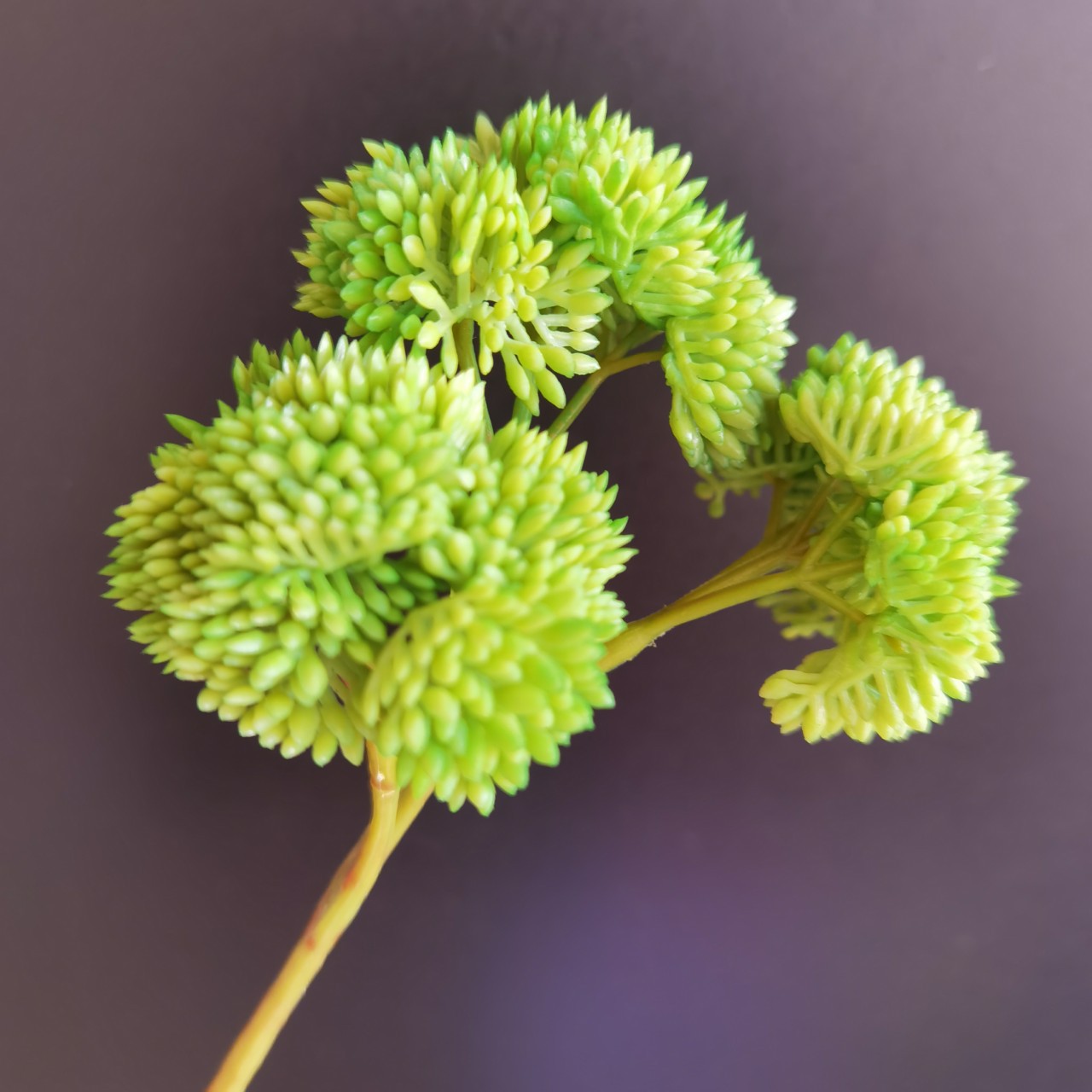 米仔果米子果3头花菜家居餐厅样板间插花装饰配材仿真花假花果枝