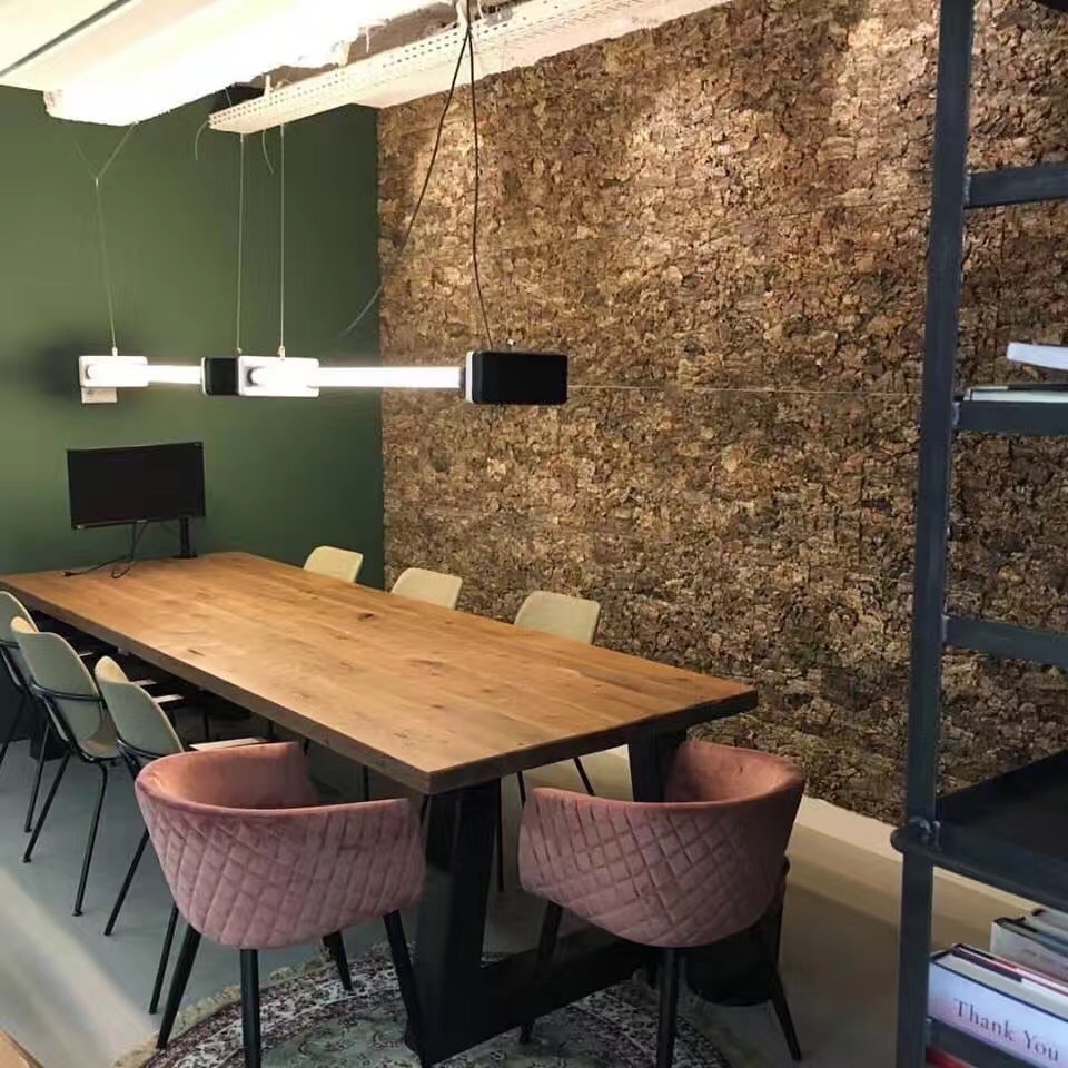 香槟木树皮园林造景餐厅主题墙绿植真树皮爬宠蜥蜴蜘蛛蛇产地直发