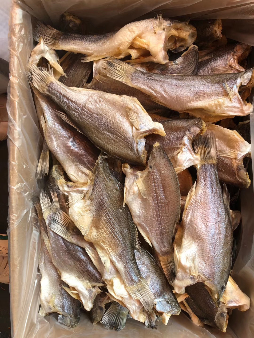 鲈鱼鲈鱼干海鲜干货鱼干去头开肚