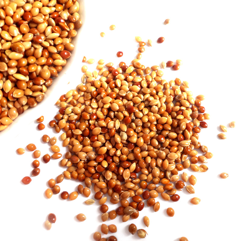 厂家现货鹦鹉粮 鸟食 虎皮牡丹玄凤带壳谷子黍子鸟粮宠物粮