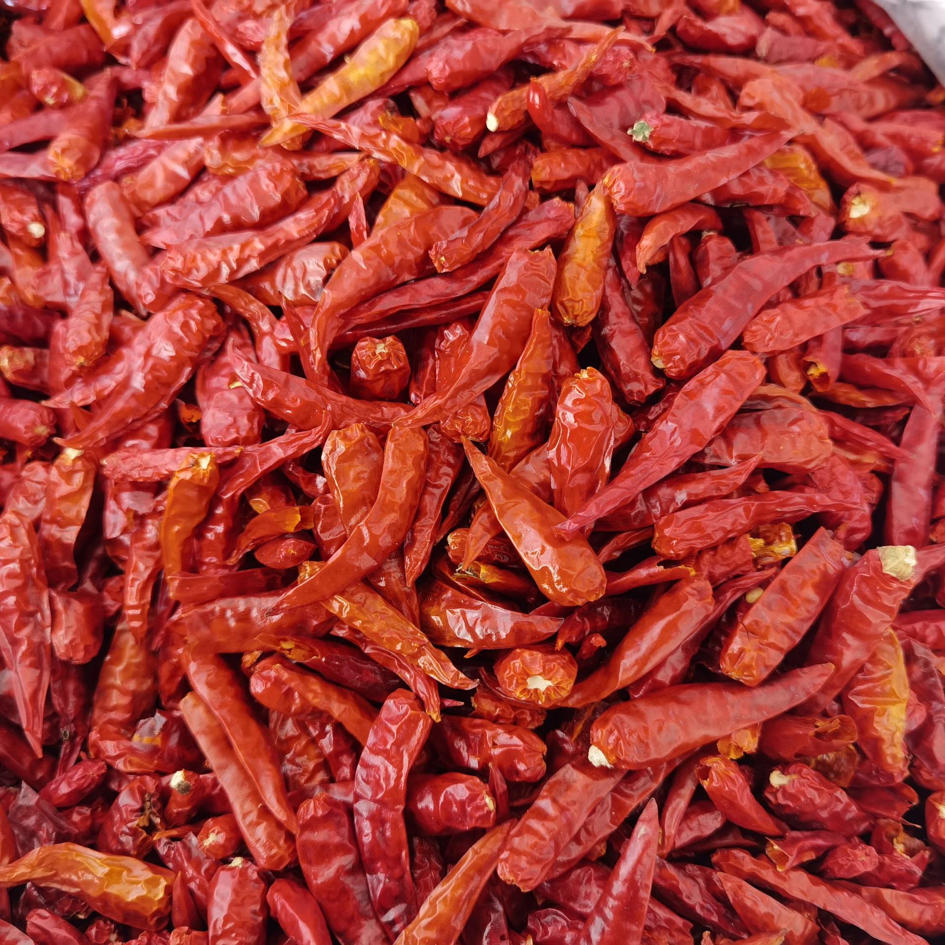 越南小米椒超辣特辣 干辣椒小米辣超香调味料香辛料卤煮火锅料