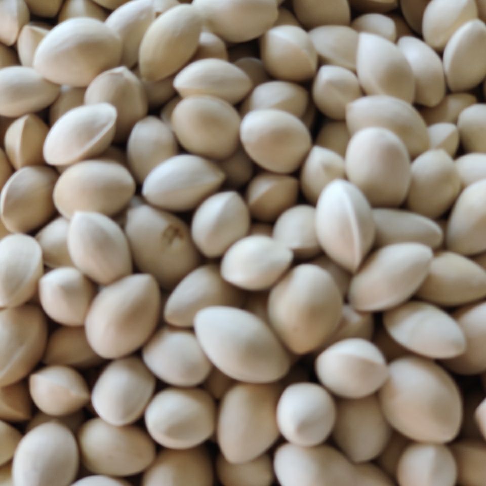 2020年新货干白果250/500克农家银杏果生白果泰兴大佛指送食谱