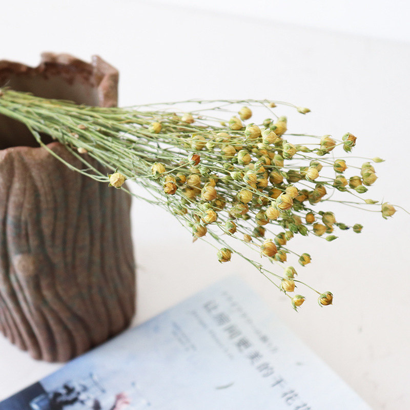 云南干花花束兔尾草干花胡麻豆快乐花麦子小麦穗植物家居装饰插花