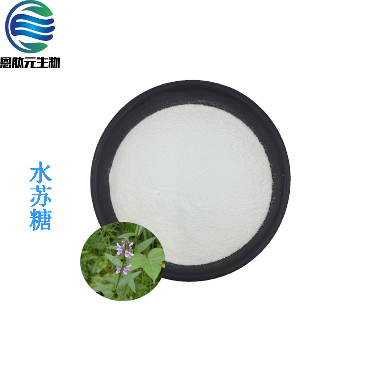 水苏糖 70% 水苏提取物 水苏糖 现货供应